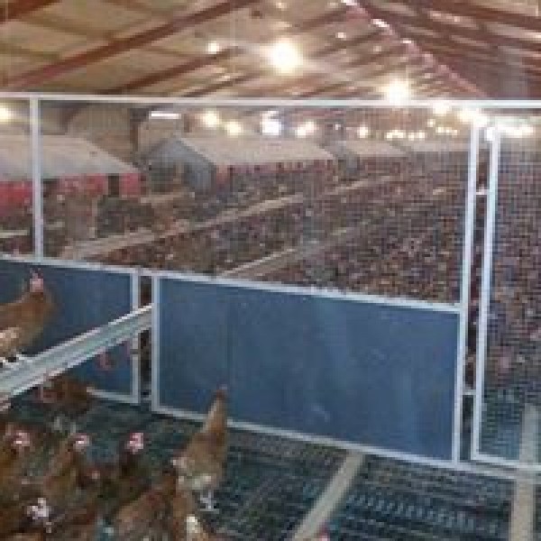 poultry barriers