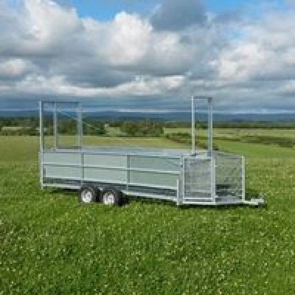 Rhino sheep handling trailer