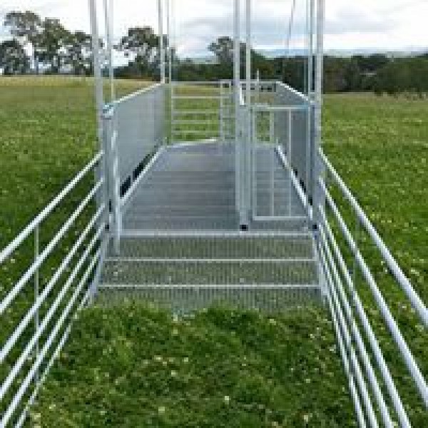 Rhino sheep handling trailer