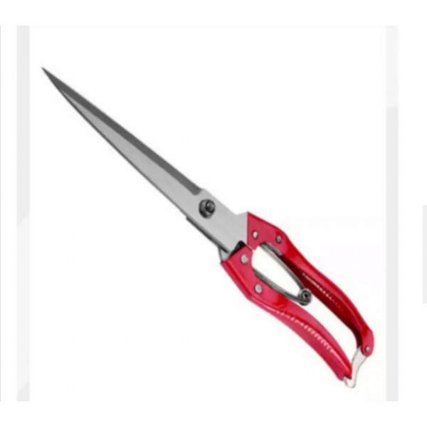 Sheep Shears
